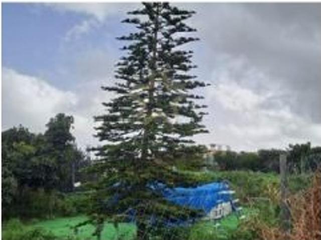Casa en venta en La Esperanza, El Rosario