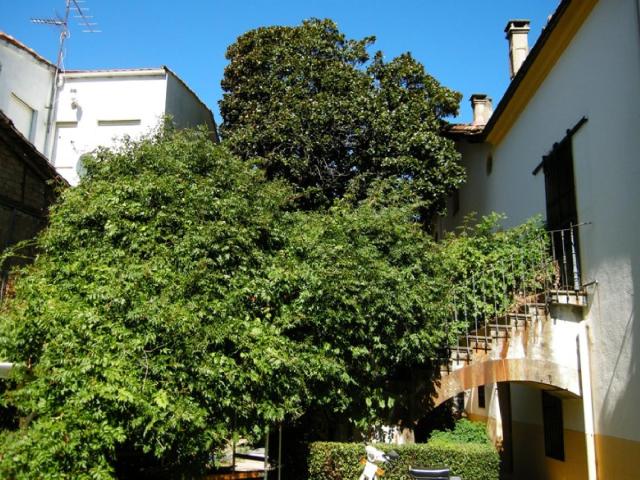 Casa en venta en Jerte, Extremadura