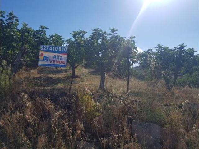 Chalet en venta en Torremenga, Extremadura