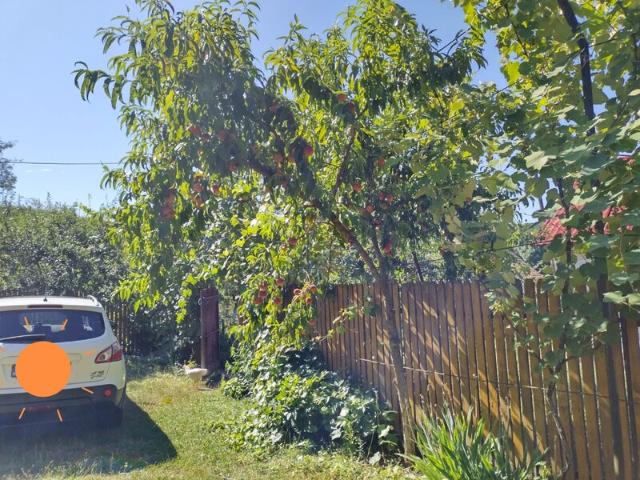 Casă vânzări în Valea Danului, Argeș