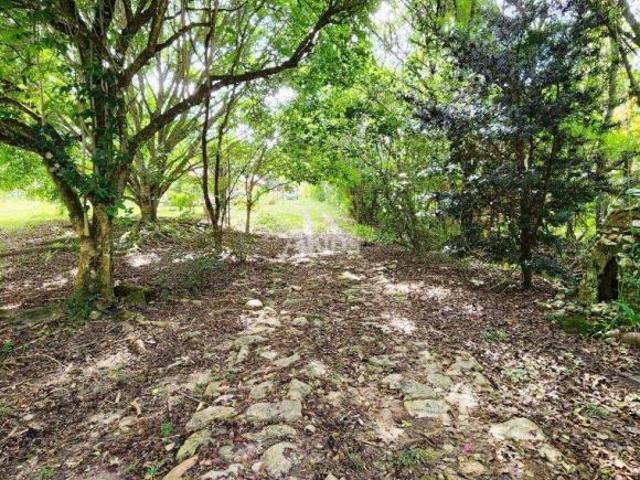 Casa venda em Jardim Nova Conquista, São Bento do Sapucaí