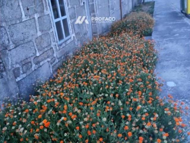 Casa en venta en A Gudiña, Galicia
