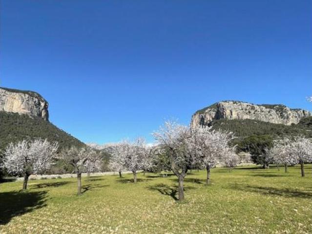 Casa en venta en es Pontarró, Raiguer