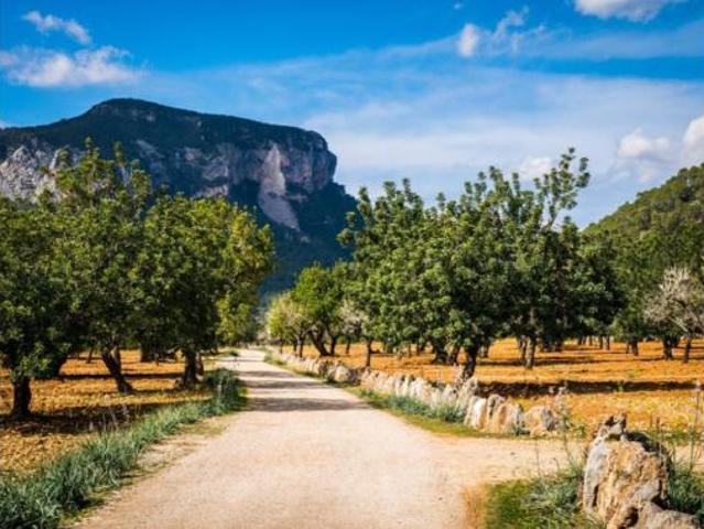 Casa en venta en es Pontarró, Raiguer