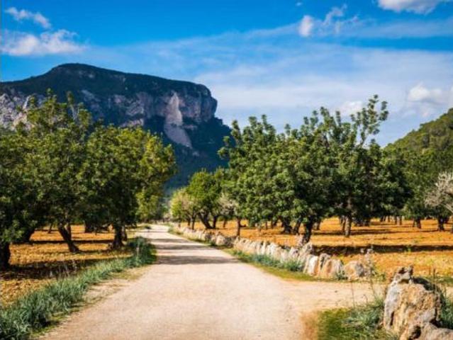 Casa en venta en es Pontarró, Raiguer