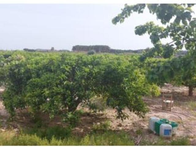 Casa en venta en el Baix Segura / La Vega Baja, Valencia