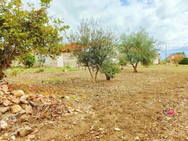 Casa en venta en Torre Los Frailes, Vega Media del Segura