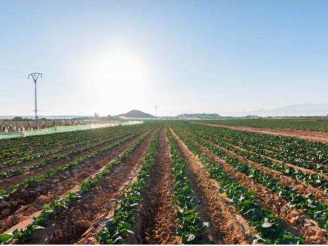 Casa en venta en Urbanización Condado de Alhama, Bajo Guadalentín