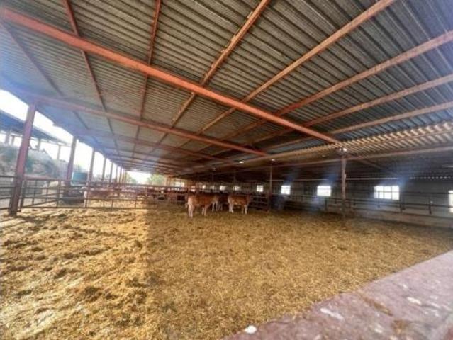 Casa en venta en la Serreta, l'Alacantí