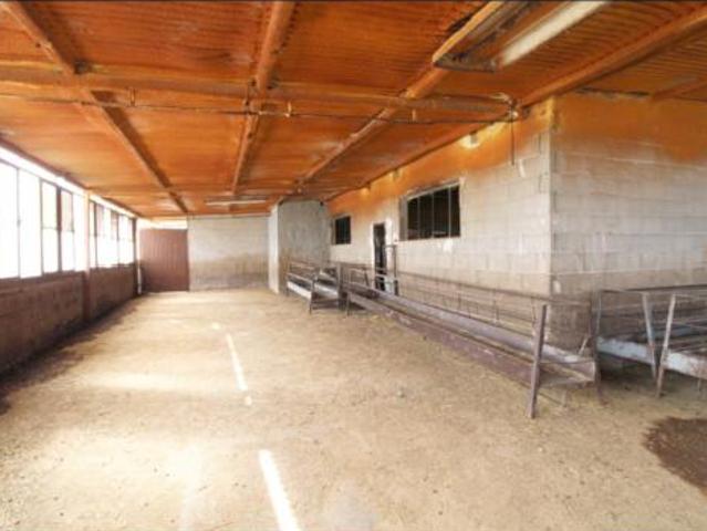 Casa en venta en Aspe, Valencia