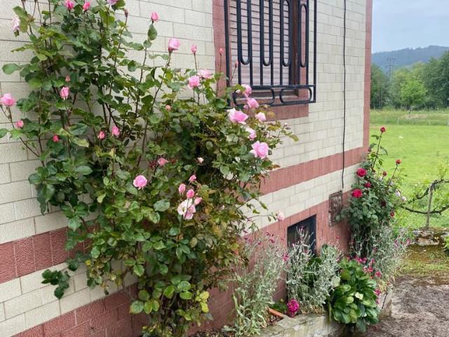 Casa en venta en Grado, Asturias