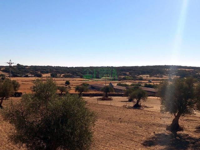 Casa en venta en Bodonal De La Sierra, Extremadura
