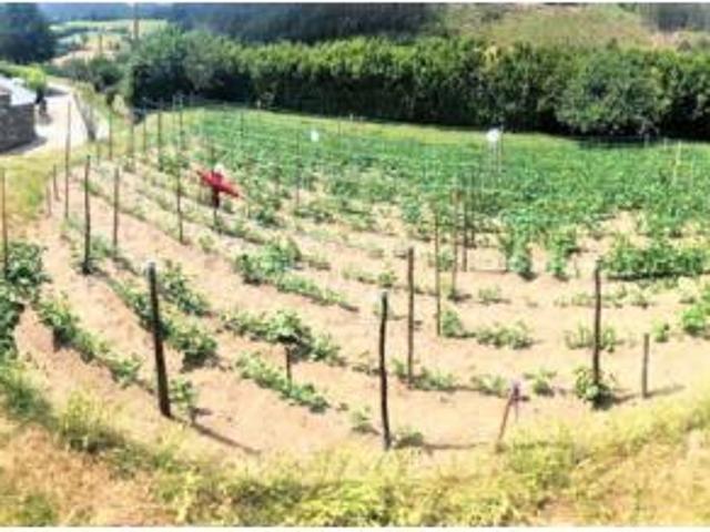 Casa en venta en Baleira, Lugo