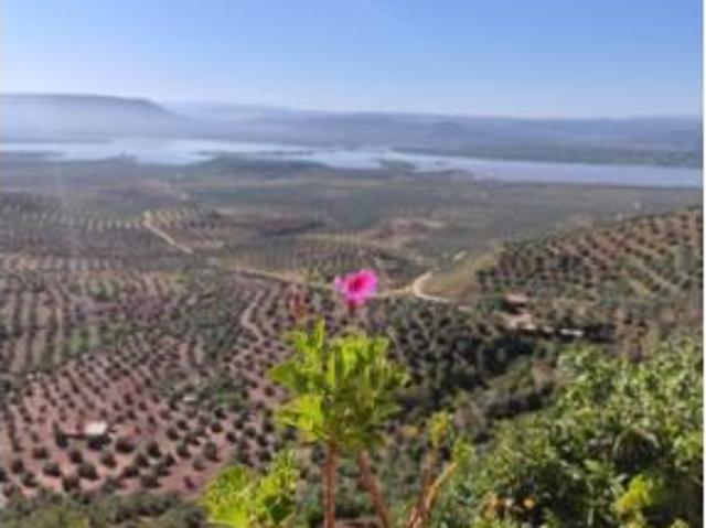 Casa en venta en Bedmar Y Garcíez, Andalucía