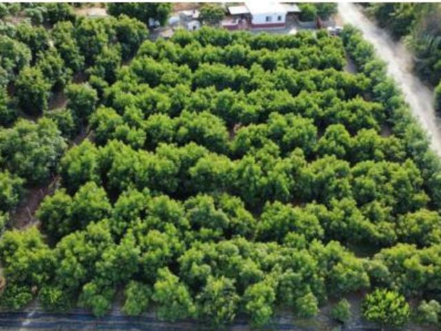 Casa en venta en La Axarquía, Andalucía