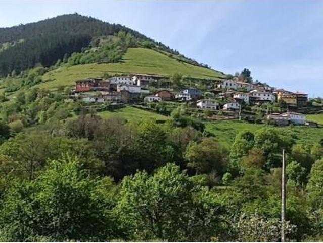 Casa en venta en Cangas Del Narcea, Asturias