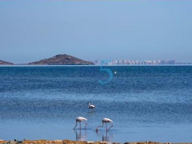 Casa en venta en El Algar, Campo de Cartagena y Mar Menor