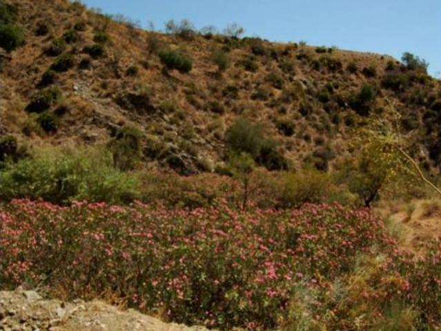 Casa en venta en Estación de Cártama, Valle del Guadalhorce