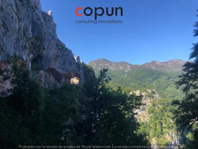 Casa en venta en Caso, Asturias