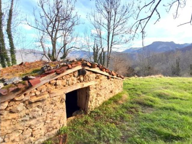 Casa en venta en Caso, Asturias