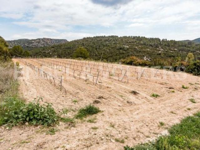 Chalet en venta en Torrelletes, Alt Penedès