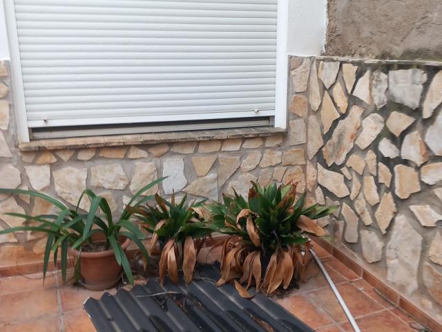 Casa en venta en el Baix Maestrat, Valencia