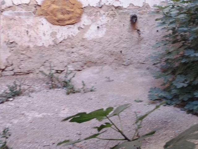 Casa en venta en el Baix Maestrat, Valencia