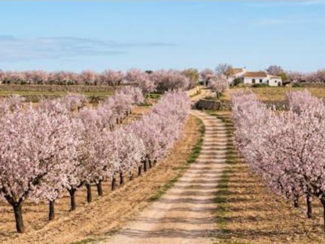 Casa en venta en Comarca de Baza, Andalucía