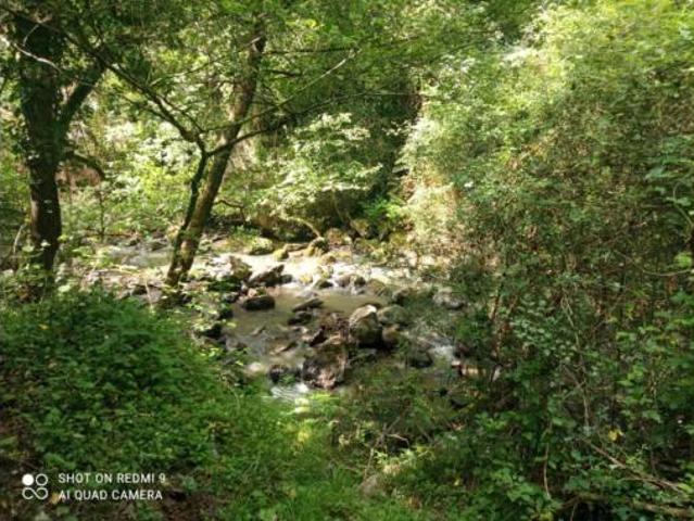 Casa en venta en Dima, Guipúzcoa