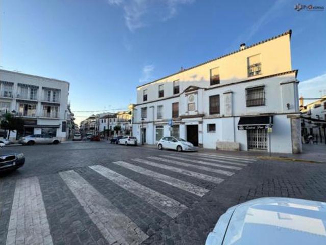 Casa en venta en Écija, Andalucía