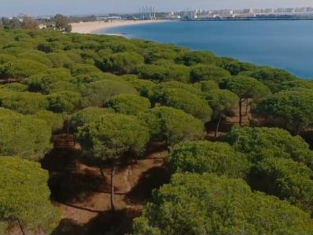 Casa en venta en El Puerto De Santa María, La Alhaja
