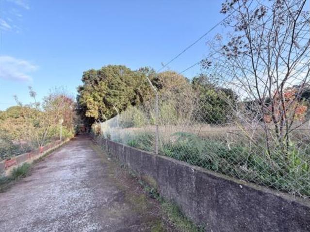 Casa en venta en Tacoronte, Canarias