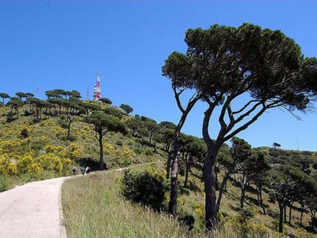 Casa en venta en Ciutat Diagonal, Baix Llobregat