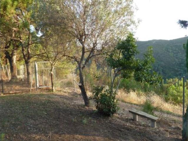 Casa en venta en Forest Hills, Costa del Sol Occidental