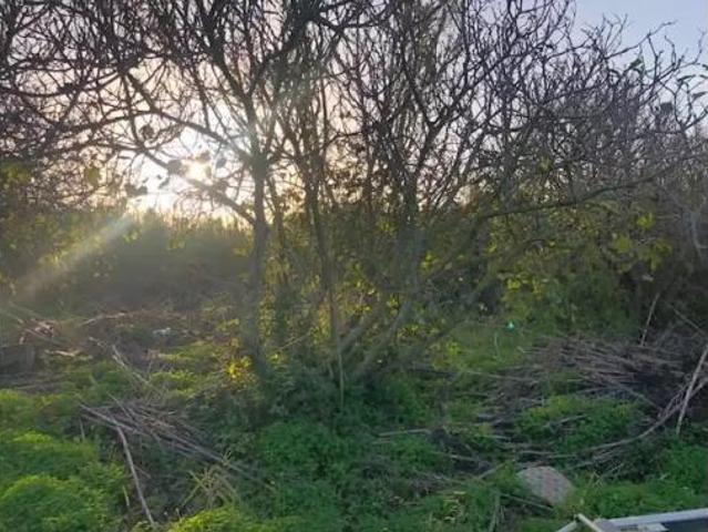 Casa en venta en Grau i Platja, la Safor