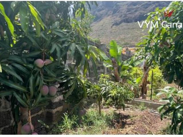 Casa en venta en Garachico, Canarias