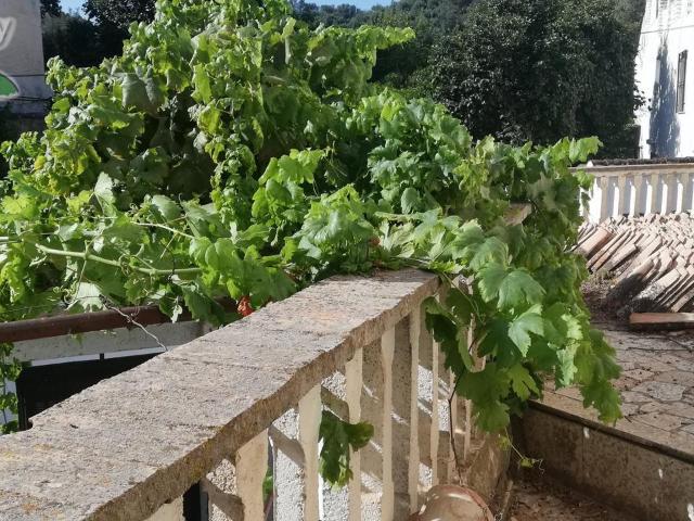 Casa en venta en Pinos del Valle, Comarca del Valle de Lecrín