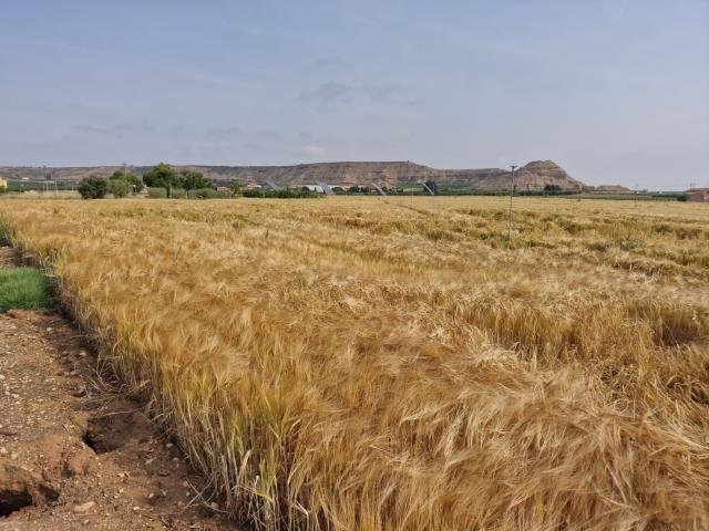 Casa en venta en Bajo Cinca / Baix Cinca, Aragón
