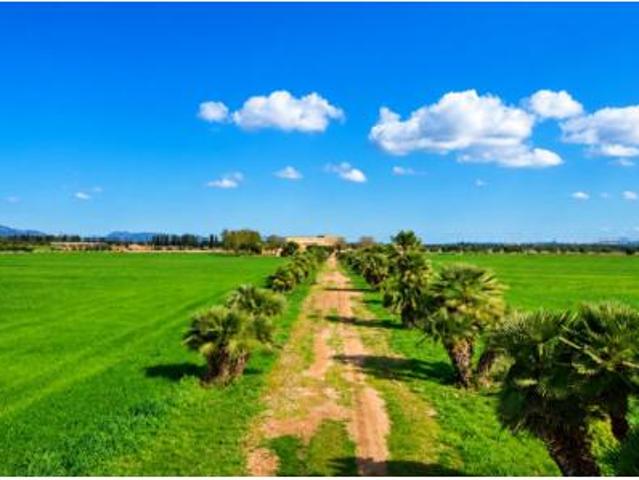 Casa en venta en Crist Rei, Raiguer