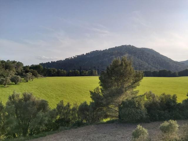 Casa en venta en Mancor De La Vall