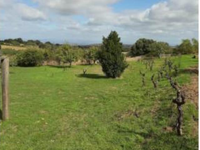 Casa en venta en Jerte, Extremadura
