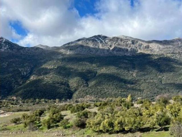 Casa en venta en Serranía de Ronda, Andalucía