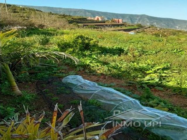 Casa en venta en La orotava, Canarias