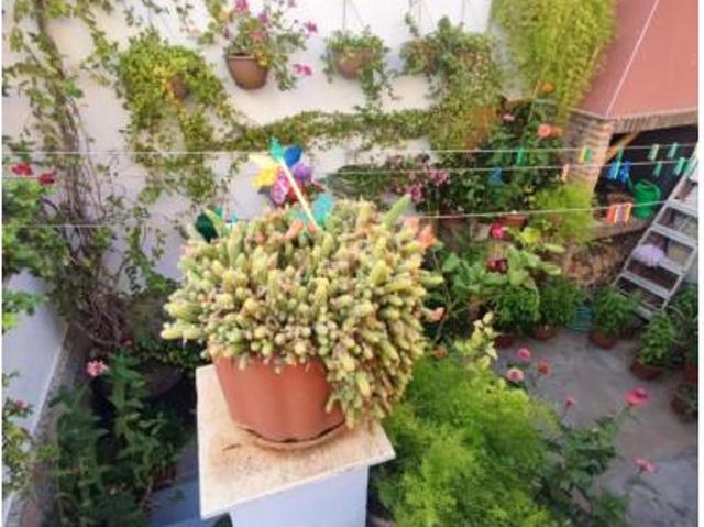 Casa en venta en La Roda, Castilla-La Mancha