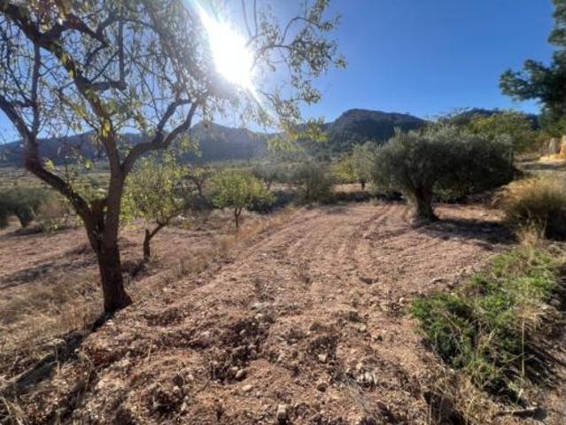 Casa en venta en La Zarza, Extremadura