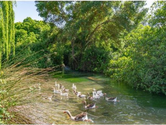 Casa en venta en Riofrío, Comarca de Loja