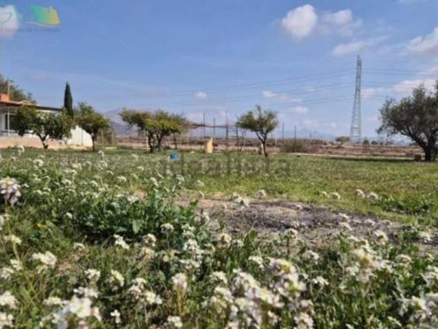 Casa en venta en Novelda, La Cruz
