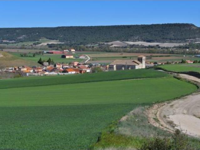 Casa en venta en Olivares De Duero, Castilla y León