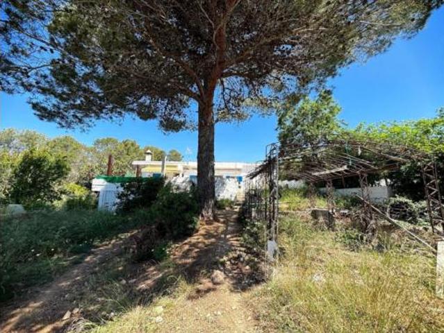 Casa en venta en Olivella, Cal Surià