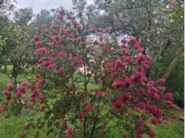 Casa en venta en Comarca de la Alpujarra Granadina, Andalucía